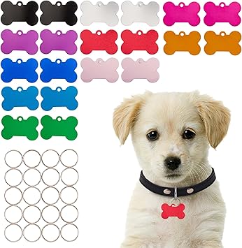 B09GXTJ1YP-019982bf-61db-4650-9864-5c5000b5e8dc